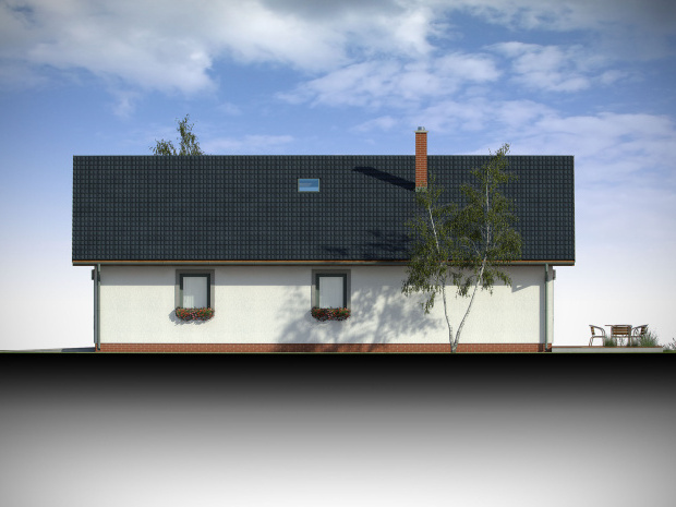 Array - perspektiva PL